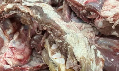 Thịt lợn bệnh tuồn vào bếp ăn trường học là tội ác không thể dung thứ