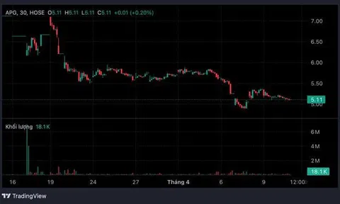 Chứng khoán APG bị phạt vì vi phạm công bố thông tin, cổ phiếu vào diện cảnh báo