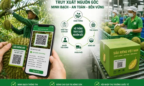 Hoàn thiện hệ thống truy xuất nguồn gốc: Nền tảng minh bạch chuỗi nông sản Việt