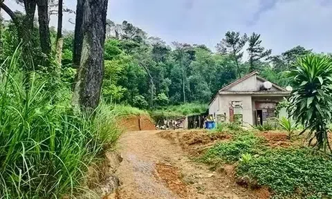 12 cựu cán bộ liên quan sai phạm đất đai tại Hướng Hóa sắp hầu tòa
