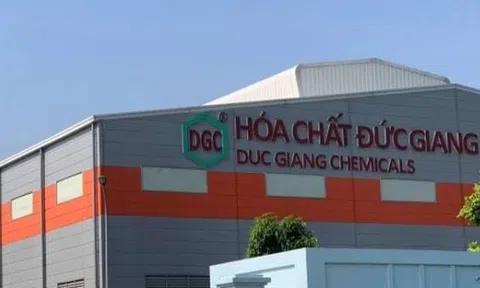 Tổng Giám đốc Hóa chất Đức Giang bị khởi tố, nhiều lãnh đạo doanh nghiệp vướng vòng lao lý