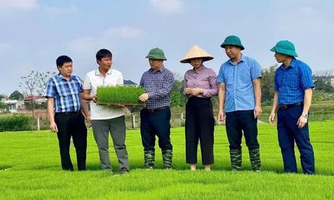 Học nghề đúng nhu cầu, mở thêm cơ hội việc làm cho lao động nông thôn