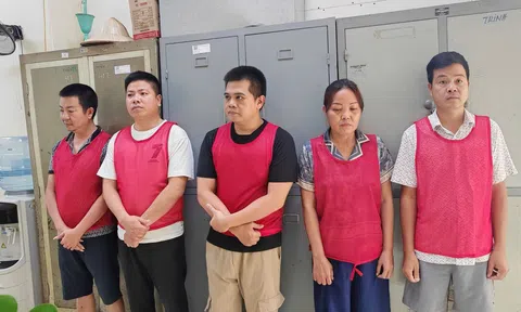 Khởi tố 5 đối tượng đổ trái phép hơn 33.500 tấn chất thải ở Hà Nội