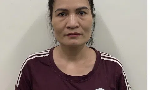 Tổng cục Đường bộ xin lỗi nhân dân và doanh nghiệp vận tải vụ nữ chuyên viên bị khởi tố