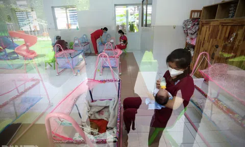 Khi tiếp viên hàng không làm bảo mẫu cho những trẻ sơ sinh có mẹ là F0
