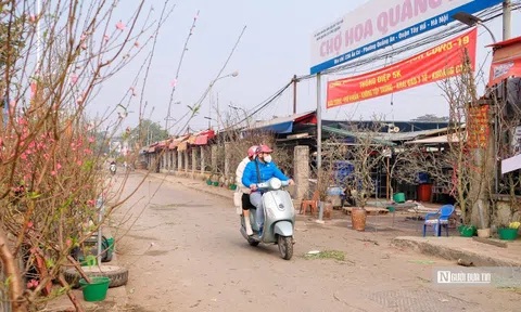 Đào Nhật Tân xuống phố sớm phục vụ người dân chơi Tết sớm