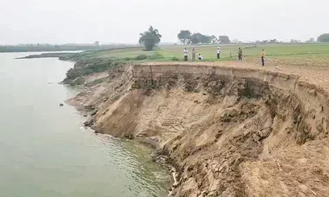 Vĩnh Lộc, Thanh Hóa: Sông Mã sạt lở, người dân lo sợ