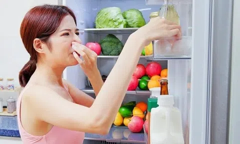 Cách khử mùi hôi tủ lạnh hiệu quả, tiết kiệm tại nhà