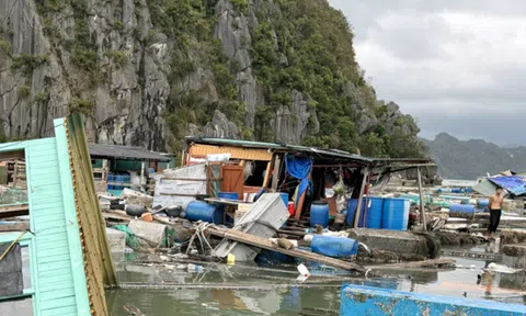 Quảng Ninh: Nhiều hộ nuôi trồng thuỷ sản phản ánh tình trạng “hôi của” sau bão