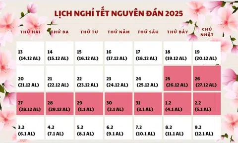 Người lao động được nghỉ Tết Nguyên đán Ất Tỵ 2025 từ ngày nào?