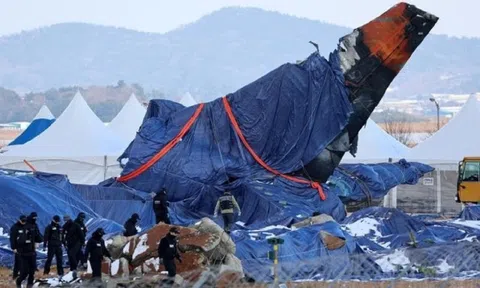 Vụ tai nạn máy bay chở 181 người ở Hàn Quốc: Phát hiện chi tiết mấu chốt trong động cơ