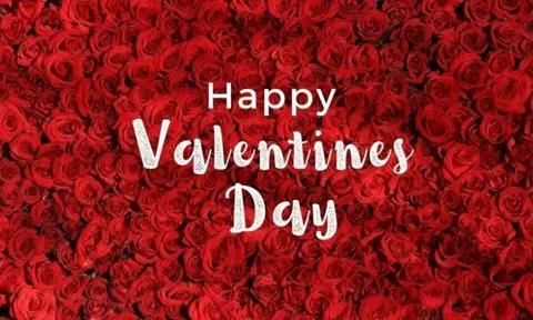 Lời chúc Valentine dành cho những người đang cô đơn