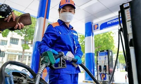 Giá xăng dầu hôm nay (24/7): Giá xăng trong nước dự báo giảm, giá dầu tăng