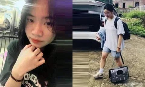 Hà Nội: Thiếu nữ 18 tuổi rời nhà đi 5 ngày chưa trở về vì bị mẹ mắng "mèo đi vệ sinh nhưng không dọn"