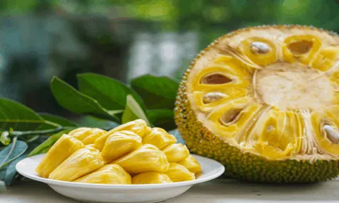 7 lợi ích không ngờ tới của quả mít với sức khỏe