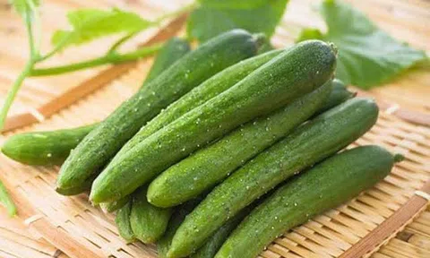 Khám phá những tác động của dưa leo đến sức khỏe