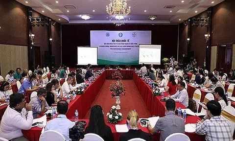 Vấn đề thiếu hụt vi chất ở trẻ và lời khuyên từ các chuyên gia