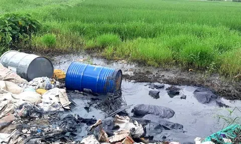 Vén màn hoá chất độc hại được đổ trộm trên Đại lộ Thăng Long