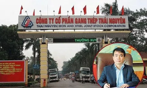 Đại gia bí ẩn nào thâu tóm Công ty Gang Thép Thái Nguyên?