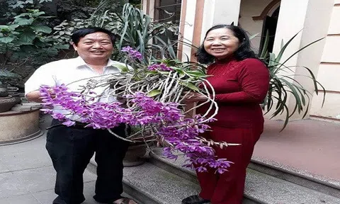 Bài thơ về các dáng thế cây cảnh của Giáo sư Trần Duy Quý