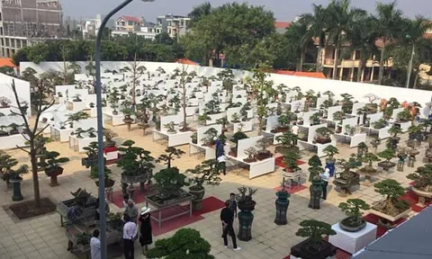Đừng để thông tin trên mạng ảo làm chao đảo cuộc sống thật