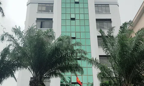Dự án Vũng Tàu Gateway chưa được cấp phép nhưng vẫn xây dựng?