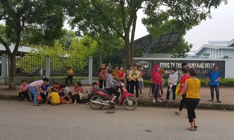 Hàng nghìn công nhân Công ty NamYang Delta tại Hải Dương đình công