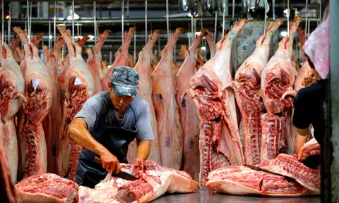 Sản lượng thịt lợn của Việt Nam đứng thứ 6 trên thế giới