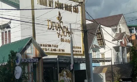 'Mỹ nhân núi Tản' công bố 'Cao bách thảo' triệt tiêu bệnh tiểu đường cứu cả vạn người