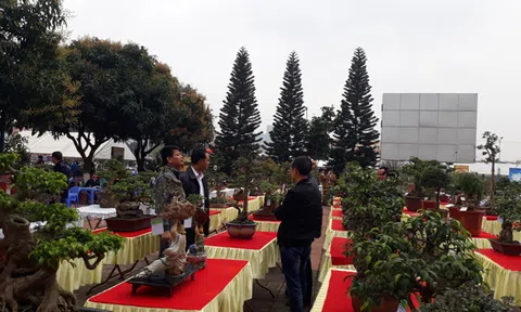 Hội chợ triển lãm SVC Bắc Ninh chào mừng Cách mạng Tháng 8 và Quốc khánh 2/9