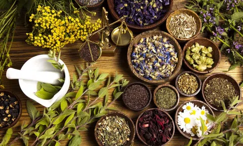Bài thuốc chữa viêm họng hạt dứt điểm