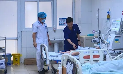 Bị rắn độc cắn khi đang ngủ ban đêm, bé 5 tuổi nguy kịch