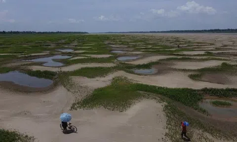COP28: Năm 2023 nóng nhất trong lịch sử
