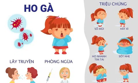 Ho gà: Cách điều trị và phòng bệnh