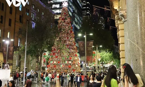 Chiêm ngưỡng cảnh cây thông Noel lớn nhất Sydney (Australia) được thắp sáng