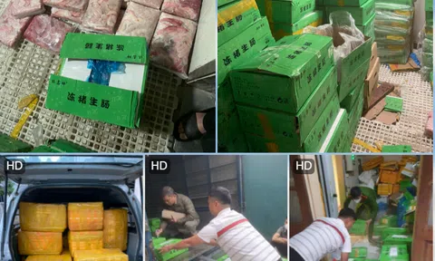 Hà Nội: Hơn 1,2 tấn tràng lợn "bốc mùi" bị bắt giữ
