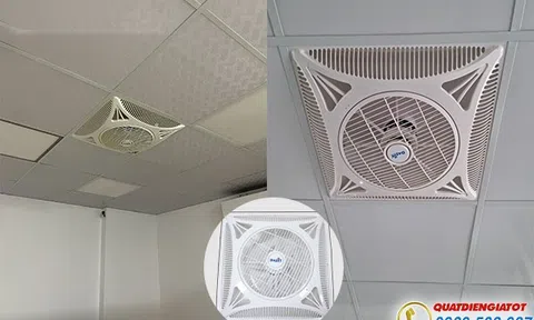 Top  quạt ốp trần mẫu mới 2024 thay quạt trần.