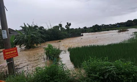 Quốc Oai: một người dân bị nước cuốn trôi do mưa lớn