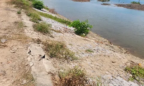 Nghi Sơn (Thanh Hóa): Ngang nhiên đào múc hành lang an toàn đê hữu sông Bạng
