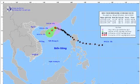 Bão số 8 trên vùng biển phía Bắc của khu vực Bắc Biển Đông