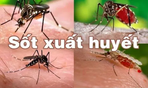 Giai đoạn nguy hiểm khi trẻ mắc sốt xuất huyết cha mẹ cần lưu ý