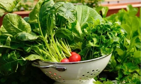 Chuyên gia vạch rõ ảo tưởng nhận biết rau có thuốc trừ sâu bằng mắt thường
