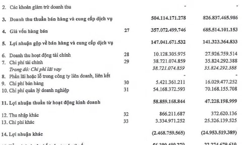 Bất động sản CenLand liên quan Shark Hưng đang kinh doanh ra sao?