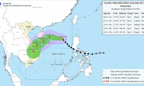 Tin mới nhất cơn bão số 12: Giật cấp 12, có khả năng mạnh thêm, những tỉnh này đón mưa như trút nước