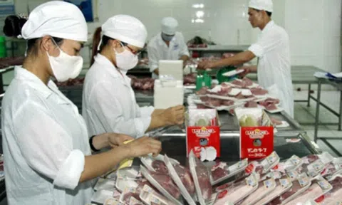 TP. Hồ Chí Minh: Xử phạt 396 cơ sở vi phạm về an toàn thực phẩm trong 9 tháng đầu năm 2021