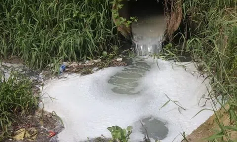 Thanh Hóa: Cố tình xả thải ra môi trường, hai doanh nghiệp bị xử phạt gần 1 tỷ đồng