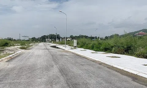 Thanh Hóa: Những quy định mới trong hoạt động đấu giá quyền sử dụng đất, thuê đất