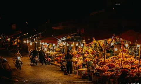 Chìm đắm trong sắc hoa tại chợ Quảng An vào một đêm đầu Đông