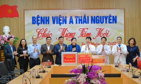 Đồng chí Bí thư Tỉnh ủy Thái Nguyên thăm, động viên, chúc Tết các y, bác sĩ