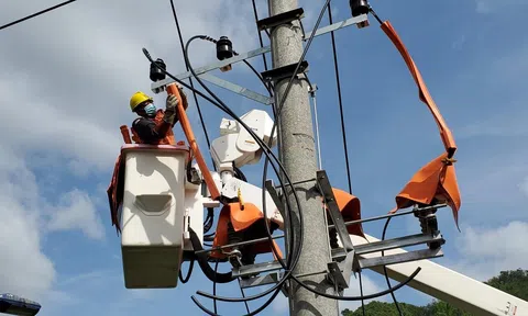 Công ty Điện lực Sơn La: Đảm bảo lưới điện vận hành linh hoạt, an toàn, tin cậy